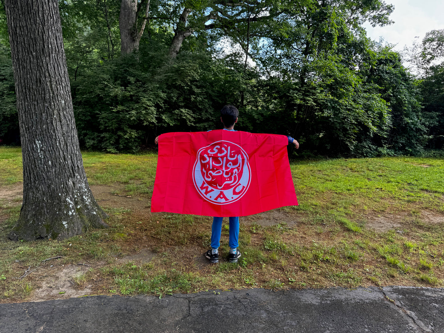 African Body Shoulder Flags